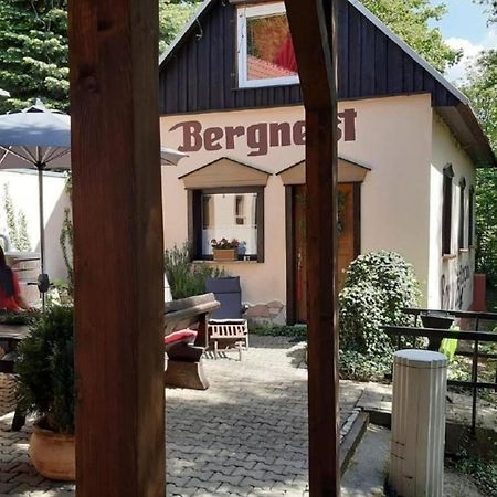 Bergnest Bungalow Bad Gottleuba-Berggiesshuebel Ngoại thất bức ảnh