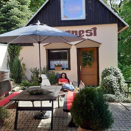 Bergnest Bungalow Bad Gottleuba-Berggiesshuebel Ngoại thất bức ảnh