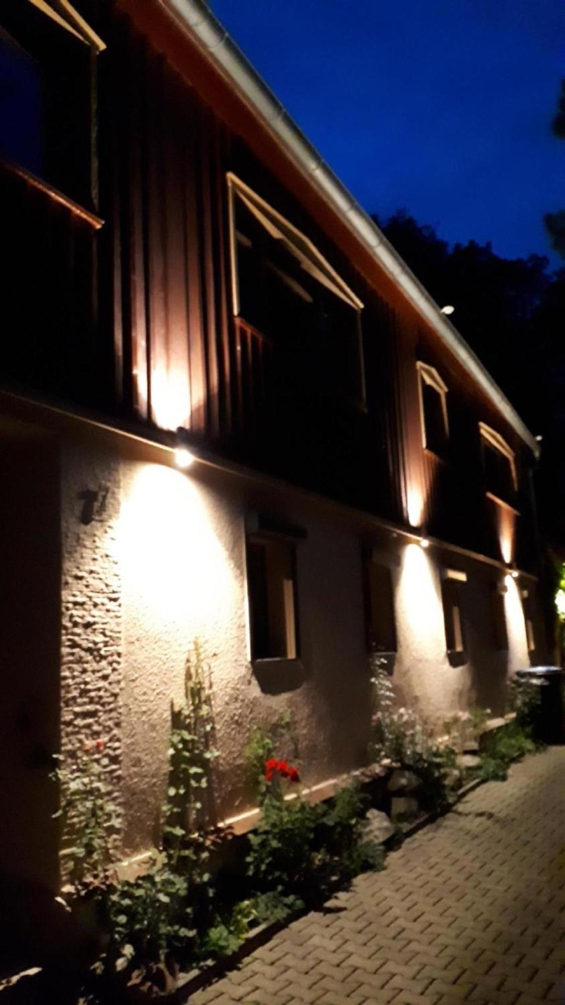 Bergnest Bungalow Bad Gottleuba-Berggiesshuebel Ngoại thất bức ảnh