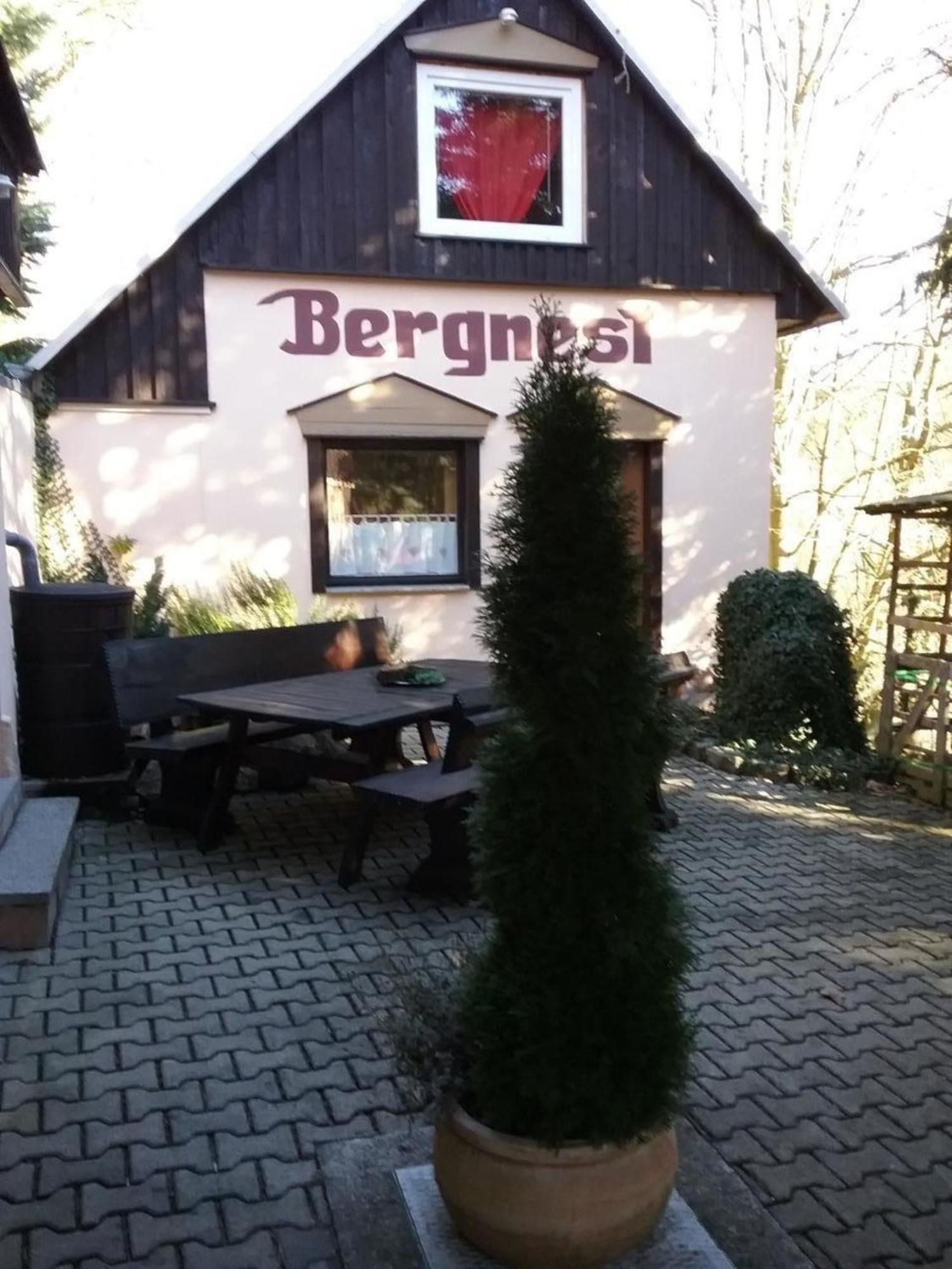Bergnest Bungalow Bad Gottleuba-Berggiesshuebel Ngoại thất bức ảnh