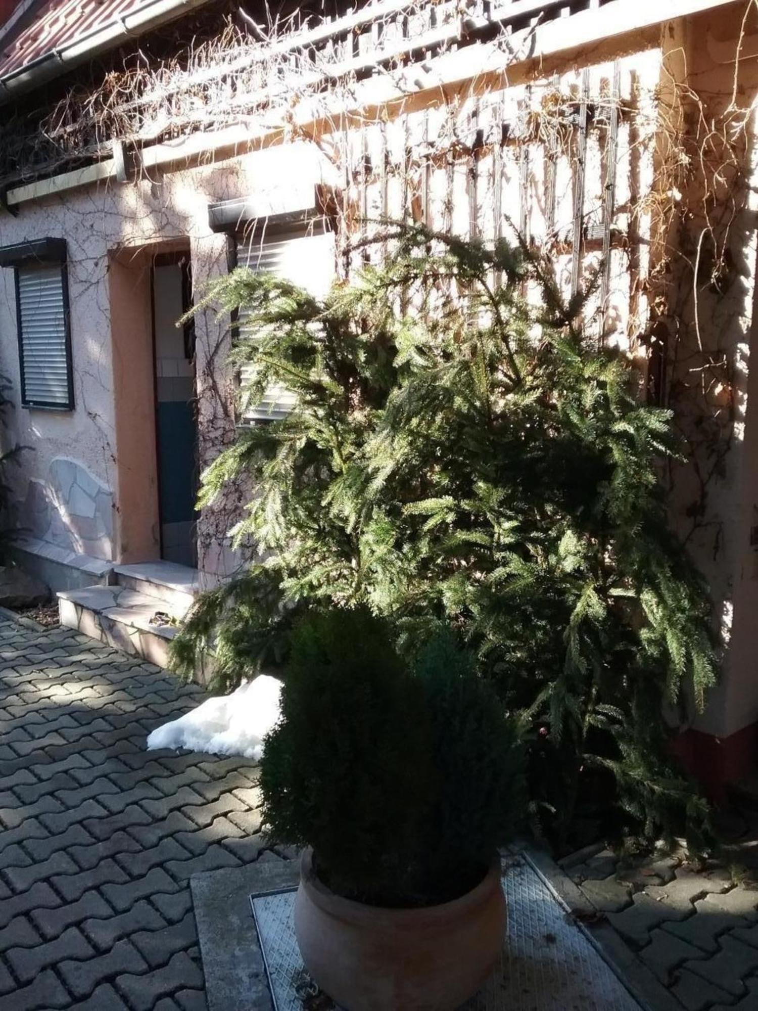 Bergnest Bungalow Bad Gottleuba-Berggiesshuebel Ngoại thất bức ảnh